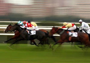 Leopardstown Racecourse