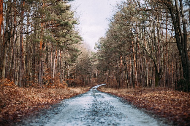 UK Autumn Drive